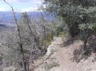 Guide et vtt dans les sorties de montagne